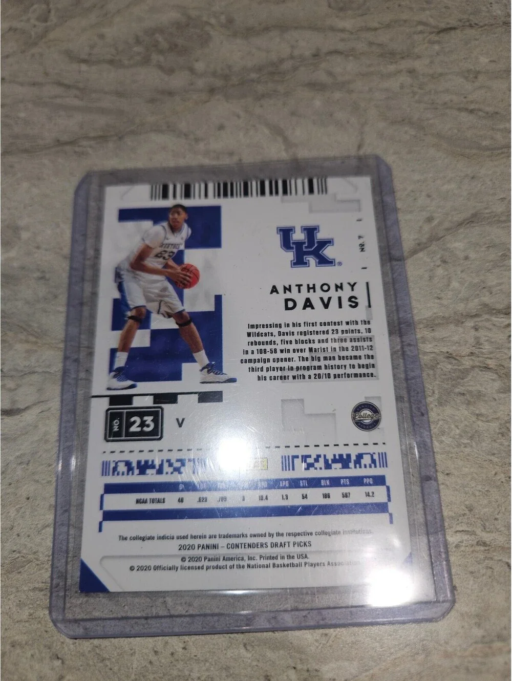 Panini this 2020